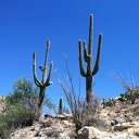arizona from kells camera - IMG_3234